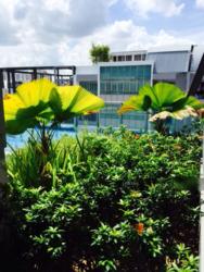 Idyllic Suites (D14), Apartment #110431282